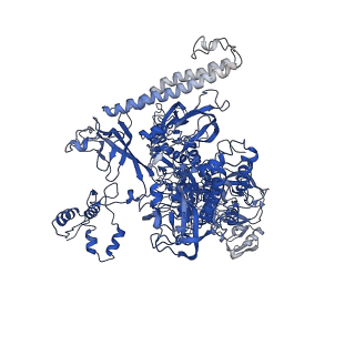 22045_6x50_I_v1-1
Mfd-bound E.coli RNA polymerase elongation complex - V state