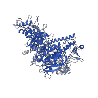 22045_6x50_J_v1-0
Mfd-bound E.coli RNA polymerase elongation complex - V state