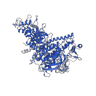 22045_6x50_J_v1-1
Mfd-bound E.coli RNA polymerase elongation complex - V state