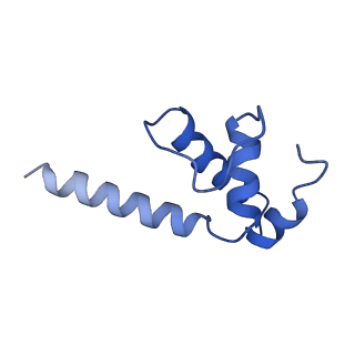 22045_6x50_K_v1-1
Mfd-bound E.coli RNA polymerase elongation complex - V state