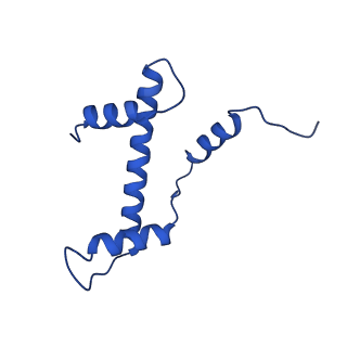 22046_6x59_A_v1-3
The mouse cGAS catalytic domain binding to human assembled nucleosome