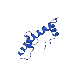 22046_6x59_B_v1-3
The mouse cGAS catalytic domain binding to human assembled nucleosome