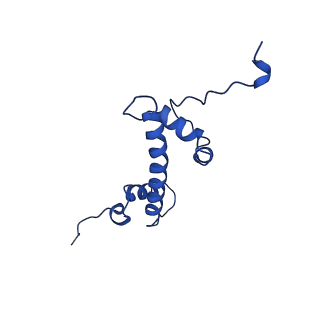 22046_6x59_C_v1-3
The mouse cGAS catalytic domain binding to human assembled nucleosome