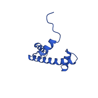 22046_6x59_E_v1-3
The mouse cGAS catalytic domain binding to human assembled nucleosome