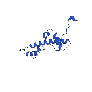22046_6x59_G_v1-3
The mouse cGAS catalytic domain binding to human assembled nucleosome