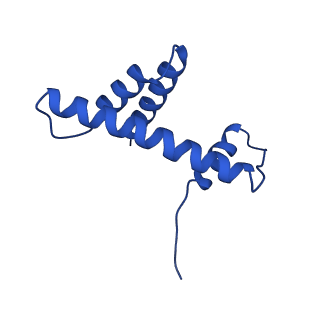 22046_6x59_H_v1-3
The mouse cGAS catalytic domain binding to human assembled nucleosome