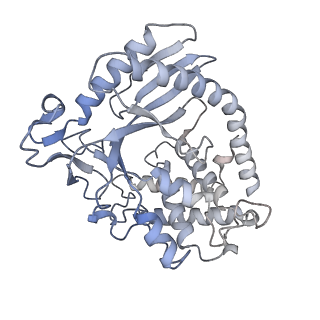 22046_6x59_K_v1-3
The mouse cGAS catalytic domain binding to human assembled nucleosome