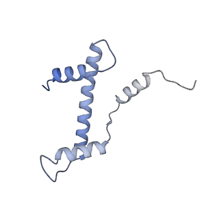 22047_6x5a_A_v1-3
The mouse cGAS catalytic domain binding to human nucleosome that purified from HEK293T cells