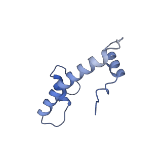 22047_6x5a_B_v1-2
The mouse cGAS catalytic domain binding to human nucleosome that purified from HEK293T cells