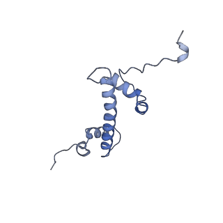 22047_6x5a_C_v1-3
The mouse cGAS catalytic domain binding to human nucleosome that purified from HEK293T cells