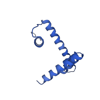 22047_6x5a_D_v1-3
The mouse cGAS catalytic domain binding to human nucleosome that purified from HEK293T cells