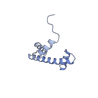 22047_6x5a_E_v1-3
The mouse cGAS catalytic domain binding to human nucleosome that purified from HEK293T cells