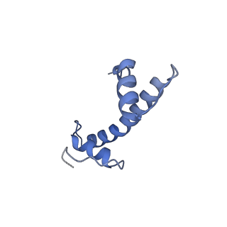 22047_6x5a_F_v1-3
The mouse cGAS catalytic domain binding to human nucleosome that purified from HEK293T cells