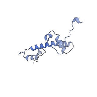 22047_6x5a_G_v1-3
The mouse cGAS catalytic domain binding to human nucleosome that purified from HEK293T cells