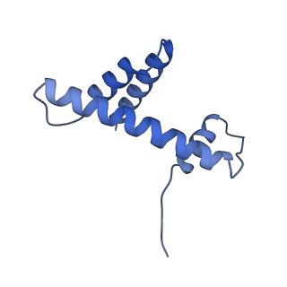 22047_6x5a_H_v1-3
The mouse cGAS catalytic domain binding to human nucleosome that purified from HEK293T cells