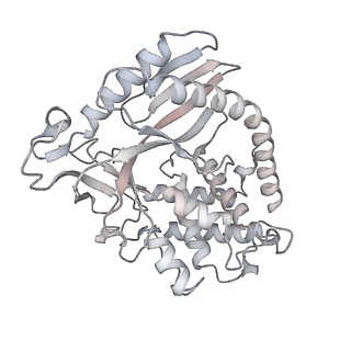 22047_6x5a_K_v1-3
The mouse cGAS catalytic domain binding to human nucleosome that purified from HEK293T cells