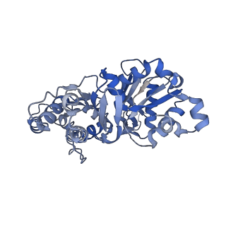 22067_6x5z_B_v1-2
Bovine Cardiac Myosin in Complex with Chicken Skeletal Actin and Human Cardiac Tropomyosin in the Rigor State