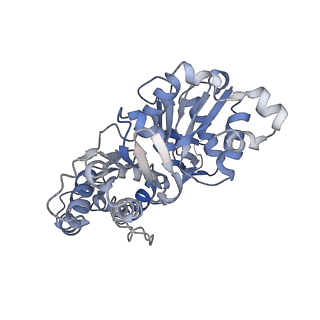 22067_6x5z_C_v1-3
Bovine Cardiac Myosin in Complex with Chicken Skeletal Actin and Human Cardiac Tropomyosin in the Rigor State