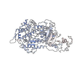 22067_6x5z_D_v1-3
Bovine Cardiac Myosin in Complex with Chicken Skeletal Actin and Human Cardiac Tropomyosin in the Rigor State