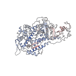 22067_6x5z_G_v1-3
Bovine Cardiac Myosin in Complex with Chicken Skeletal Actin and Human Cardiac Tropomyosin in the Rigor State