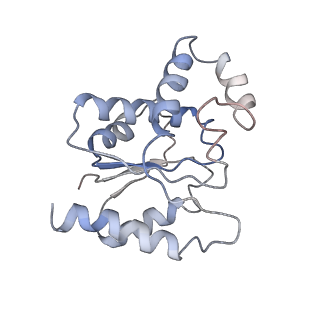 32121_7x5k_J_v1-2
Tir-dsDNA complex, the initial binding state