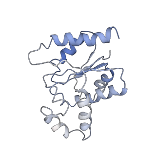 32121_7x5k_L_v1-2
Tir-dsDNA complex, the initial binding state