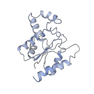 32121_7x5k_M_v1-2
Tir-dsDNA complex, the initial binding state