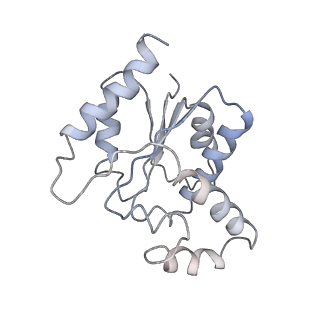 32121_7x5k_O_v1-2
Tir-dsDNA complex, the initial binding state