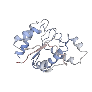 32121_7x5k_P_v1-2
Tir-dsDNA complex, the initial binding state