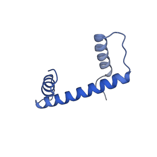 33010_7x57_C_v1-0
Cryo-EM structure of human subnucleosome (closed form)
