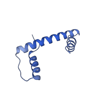 33010_7x57_E_v1-0
Cryo-EM structure of human subnucleosome (closed form)
