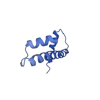 33010_7x57_F_v1-0
Cryo-EM structure of human subnucleosome (closed form)
