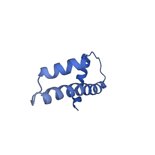 33011_7x58_F_v1-0
Cryo-EM structure of human subnucleosome (open form)