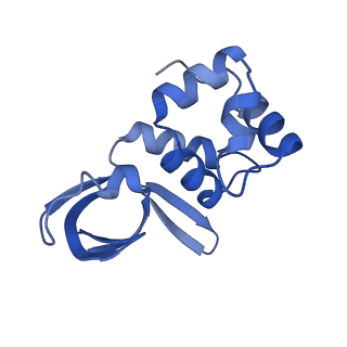 33013_7x5a_F_v1-1
CryoEM structure of RuvA-Holliday junction complex