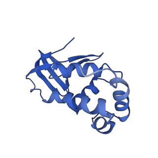 33013_7x5a_G_v1-1
CryoEM structure of RuvA-Holliday junction complex