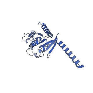 33014_7x5h_A_v1-1
Serotonin 5A (5-HT5A) receptor-Gi protein complex