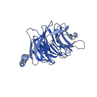 33014_7x5h_B_v1-1
Serotonin 5A (5-HT5A) receptor-Gi protein complex