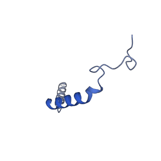 33014_7x5h_C_v1-1
Serotonin 5A (5-HT5A) receptor-Gi protein complex