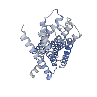 33014_7x5h_R_v1-1
Serotonin 5A (5-HT5A) receptor-Gi protein complex