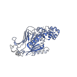 38058_8x51_A_v1-0
Cryo-EM structure of Gabija GajA in complex with DNA(focused refinement)