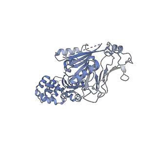 38058_8x51_B_v1-0
Cryo-EM structure of Gabija GajA in complex with DNA(focused refinement)