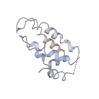 38066_8x5d_B_v1-0
The cryo-EM structure of the Mycobacterium tuberculosis CRISPR-Csm complex