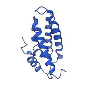 38066_8x5d_C_v1-0
The cryo-EM structure of the Mycobacterium tuberculosis CRISPR-Csm complex