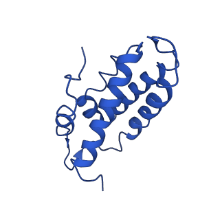 38066_8x5d_D_v1-0
The cryo-EM structure of the Mycobacterium tuberculosis CRISPR-Csm complex