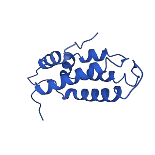 38066_8x5d_E_v1-0
The cryo-EM structure of the Mycobacterium tuberculosis CRISPR-Csm complex