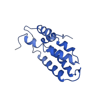 38066_8x5d_F_v1-0
The cryo-EM structure of the Mycobacterium tuberculosis CRISPR-Csm complex