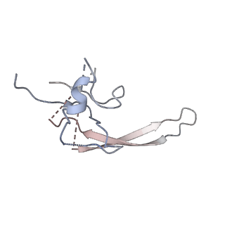 38066_8x5d_G_v1-0
The cryo-EM structure of the Mycobacterium tuberculosis CRISPR-Csm complex