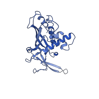 38066_8x5d_H_v1-0
The cryo-EM structure of the Mycobacterium tuberculosis CRISPR-Csm complex