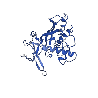38066_8x5d_I_v1-0
The cryo-EM structure of the Mycobacterium tuberculosis CRISPR-Csm complex