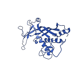 38066_8x5d_J_v1-0
The cryo-EM structure of the Mycobacterium tuberculosis CRISPR-Csm complex